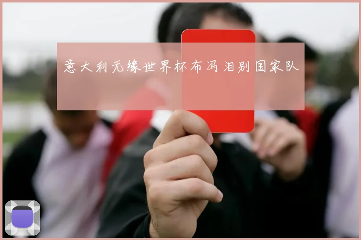 意大利无缘世界杯布冯泪别国家队