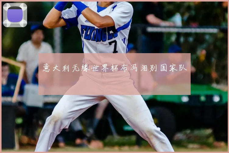 意大利无缘世界杯布冯泪别国家队