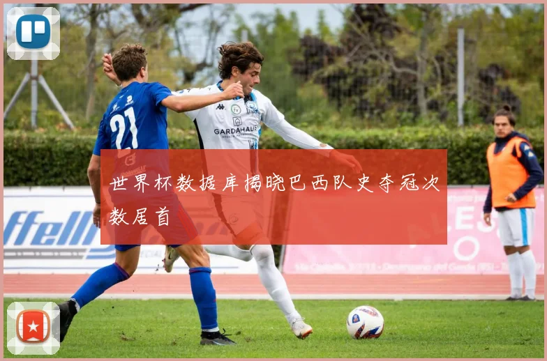世界杯数据库揭晓巴西队史夺冠次数居首