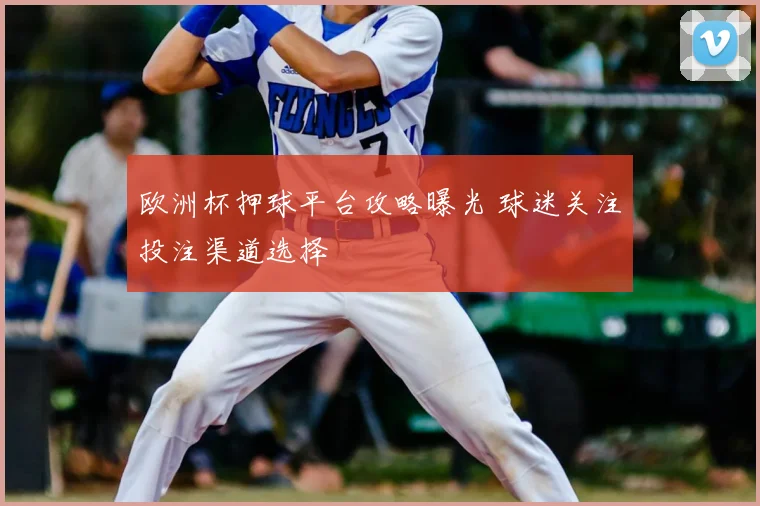 欧洲杯押球平台攻略曝光 球迷关注投注渠道选择