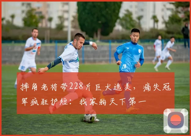 摔角老将带228斤巨犬选美，痛失冠军疯狂护短：我家狗天下第一