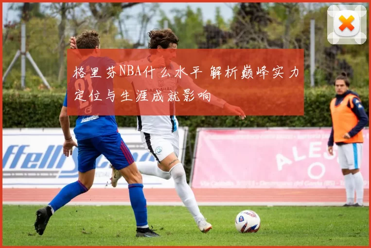 格里芬NBA什么水平 解析巅峰实力定位与生涯成就影响