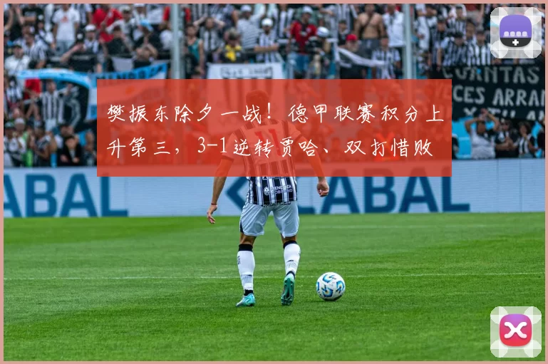 樊振东除夕一战!德甲联赛积分上升第三,3-1逆转贾哈、双打惜败