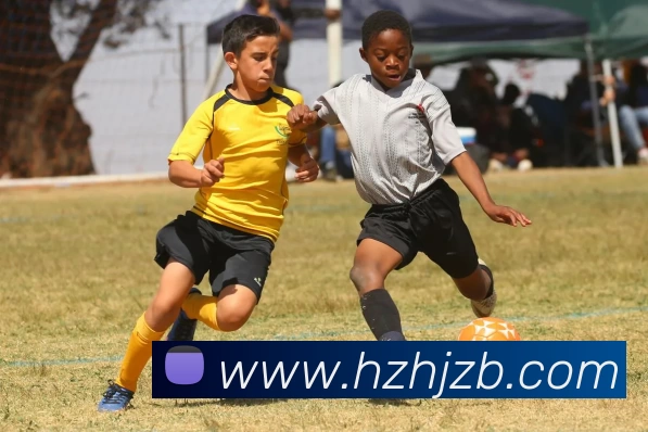 爱游戏ayx平台登录平台生态图