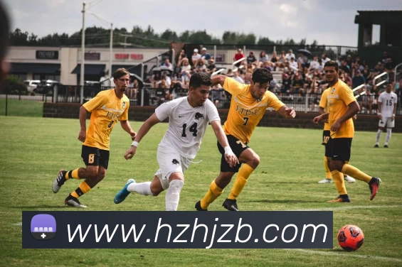 爱游戏ayx平台登录APP 封面图